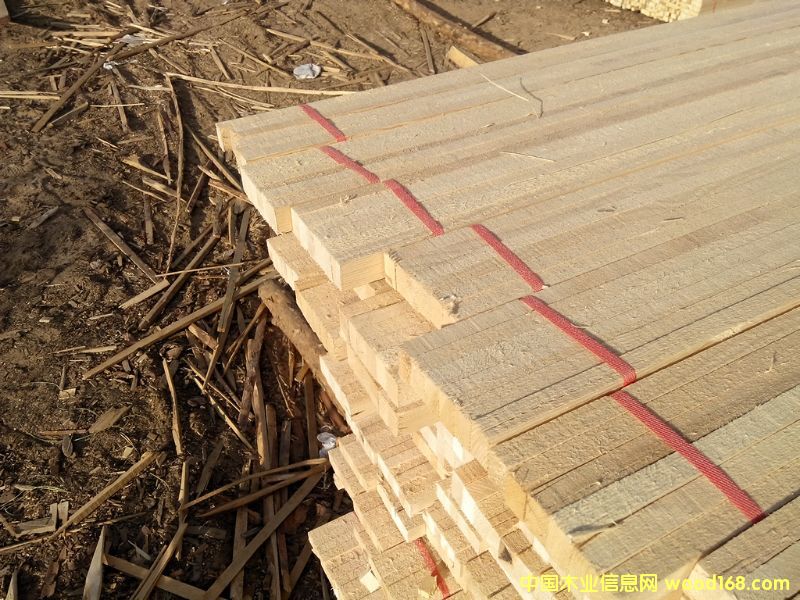 �D�����Ǽ�(x��)��(ji��) �c���ɷŴ�