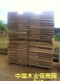 �D����ľƤ �c���ɷŴ�