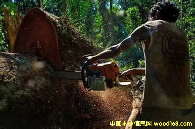 �D����������Ϣ���W(w��ng)2��8��?q��ng)?b��o)������ý�Q���Ї��¸��A�Ӳ����j���������������L(zh��ng)�|�ρ���ϡľ�ĵķǷ��Q(m��o)���������l(f��)���ξo������Y�Y(ji��)�ǖ|�ρ����ҵ���Ȼ�YԴ���������޴�ı��������� �c(di��n)���ɷŴ�