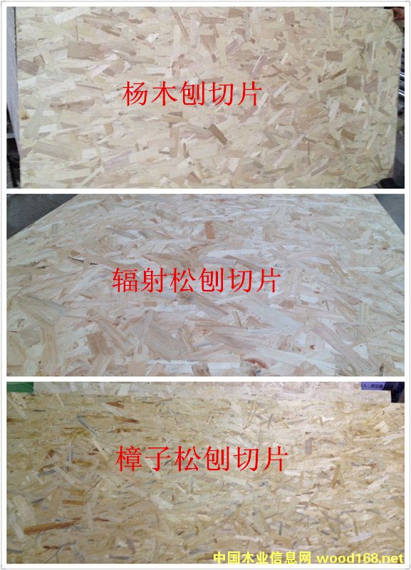 �D����(sh��)ľ����Ƭ�W�ɰ� �c(di��n)���ɷŴ�