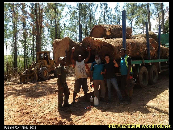 �D���ں��� �c(di��n)���ɷŴ�