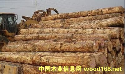 �D�������mݗ���� �c(di��n)���ɷŴ�