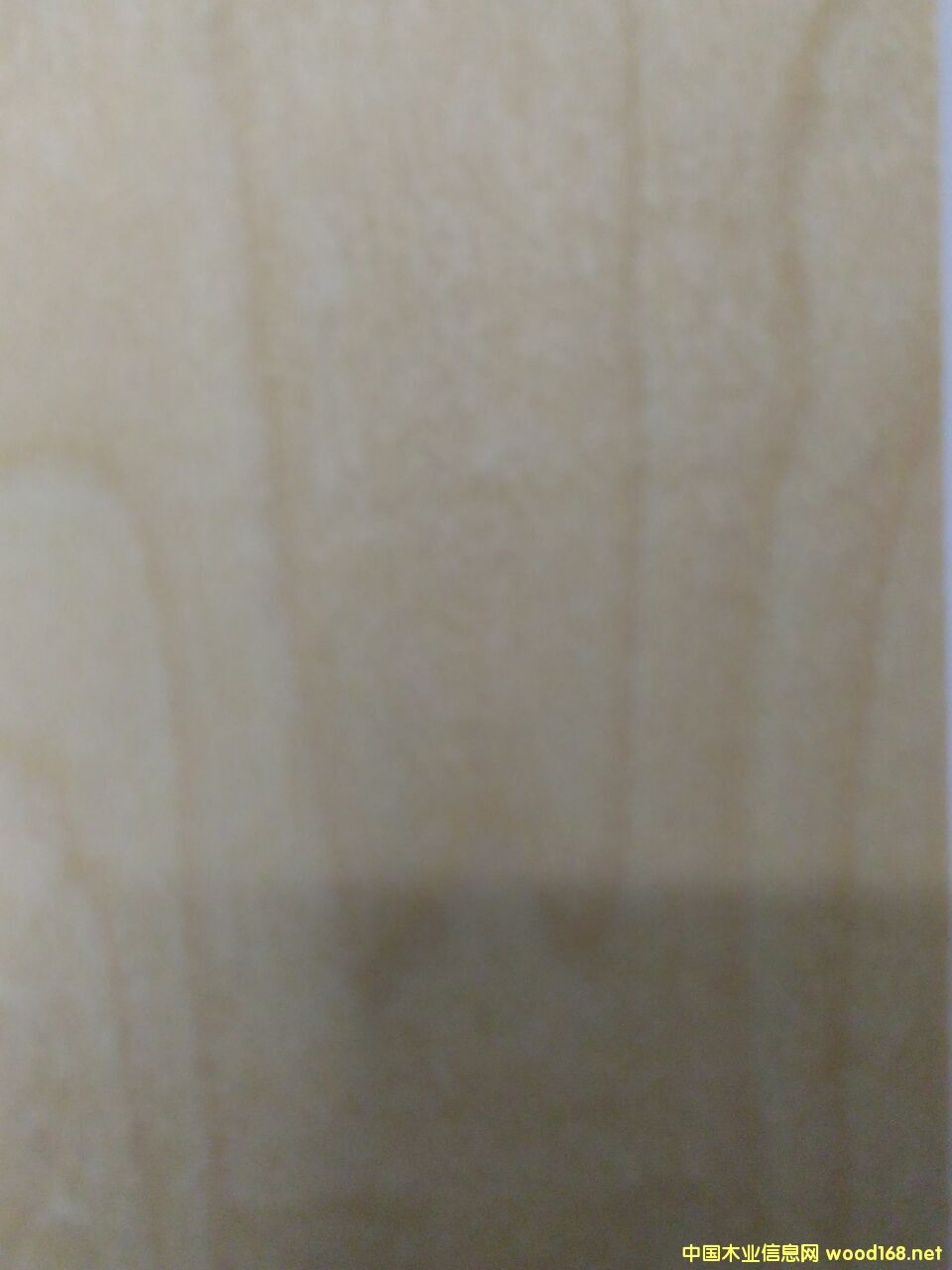 �D���Z���ľ �c(di��n)���ɷŴ�