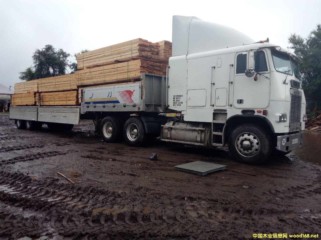 �D��؛�� �c���ɷŴ�