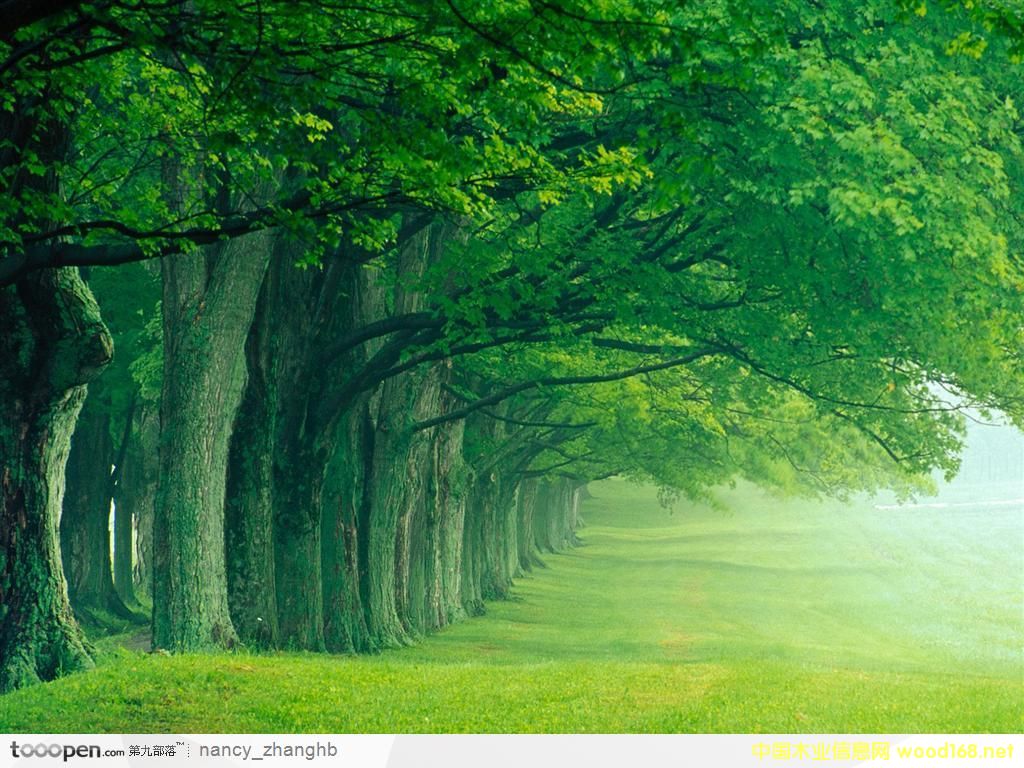 �D����־ľ�I(y��) �c(di��n)���ɷŴ�