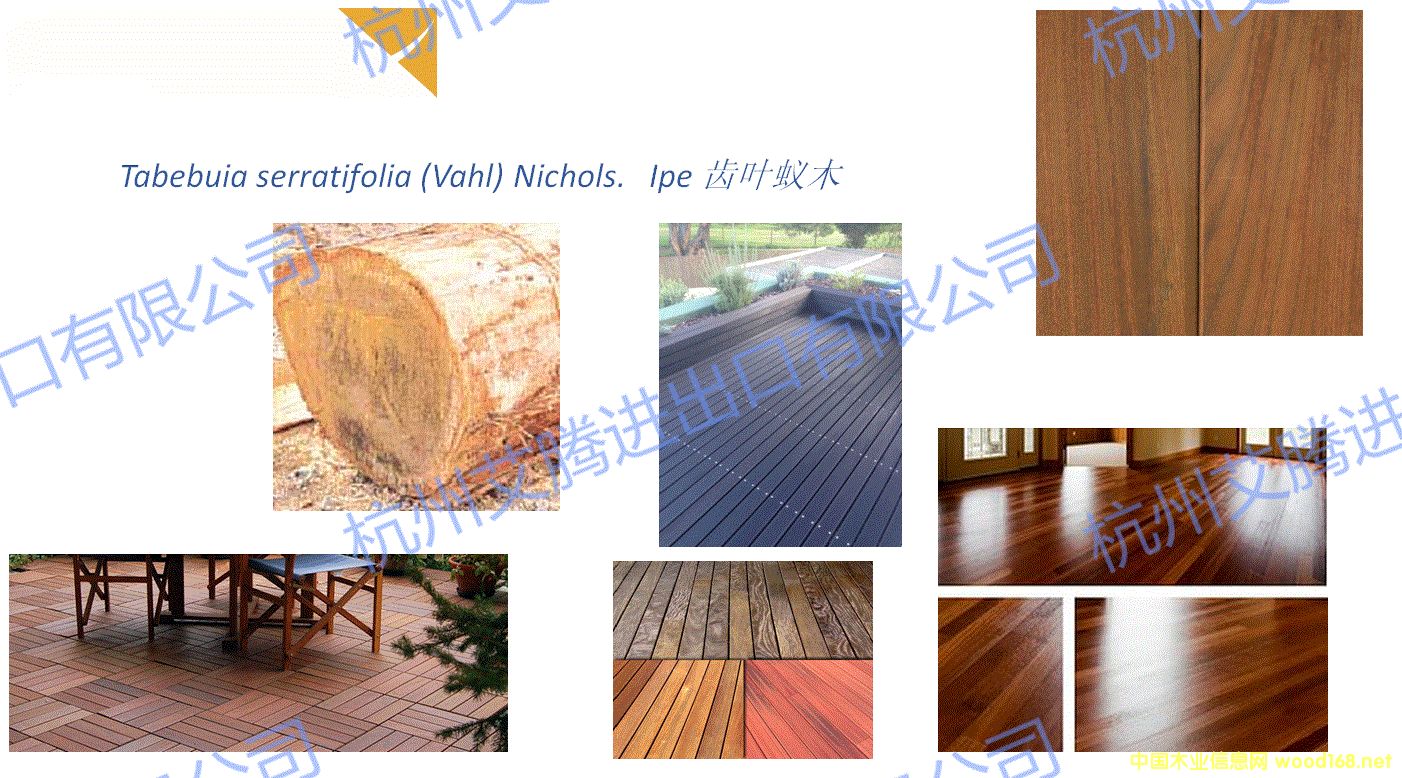 �D�����R�dľ�� �c���ɷŴ�