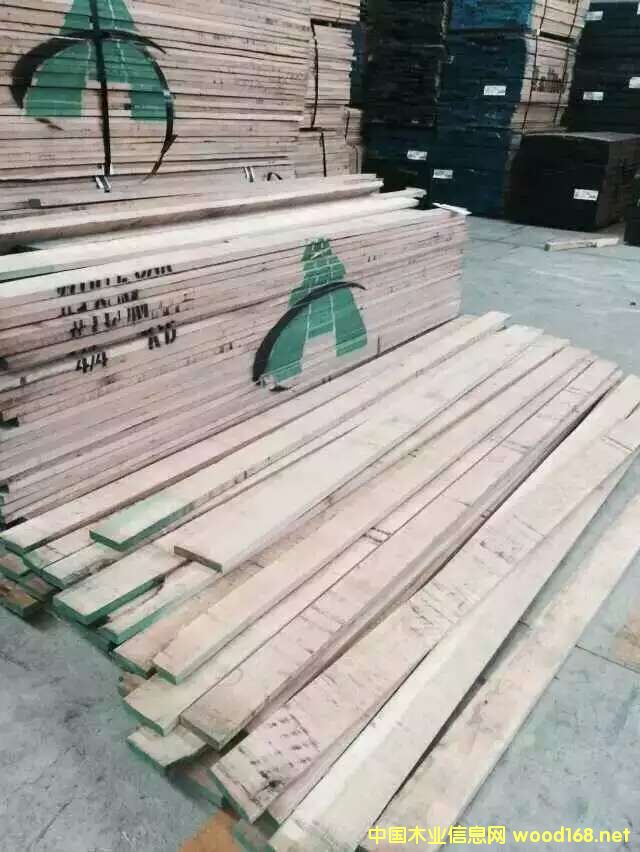 �D������ɭ �c���ɷŴ�