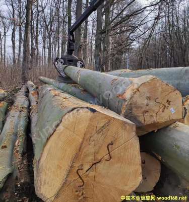 �D����ľԭľ �c���ɷŴ�