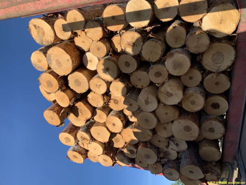 �D�����_˹������ľ��ļӹ��õĘ�ľԭľ������/�\�ӵذ壩 �c���ɷŴ�