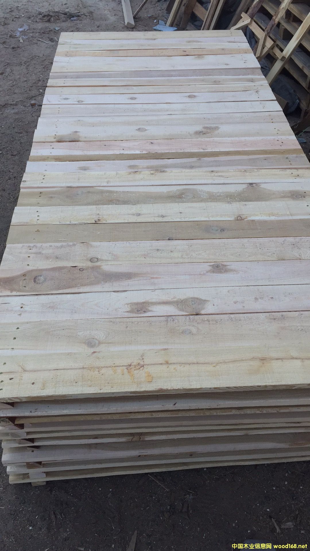 �D������ �c(di��n)���ɷŴ�