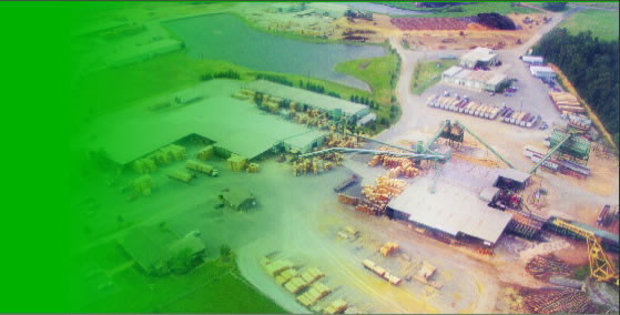 �D������(gu��)���S�B(ni��o)D �c(di��n)���ɷŴ�