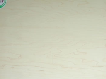 A���ח���Ԕ��(x��)��B