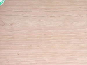 b�������z�ϰ��Ԕ��(x��)��B