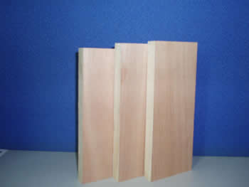 ��(x��)ľ�����Ԕ��(x��)��B