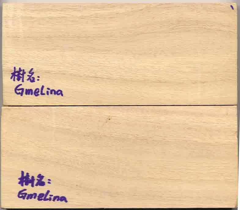 ��������ľԭľ��Ԕ��(x��)��B