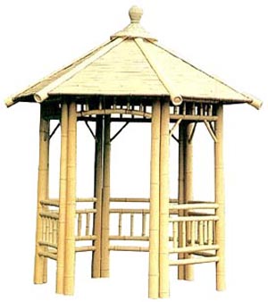 ��ͤ��Ԕ��(x��)��B