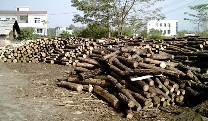 ԭľ��Ԕ����B