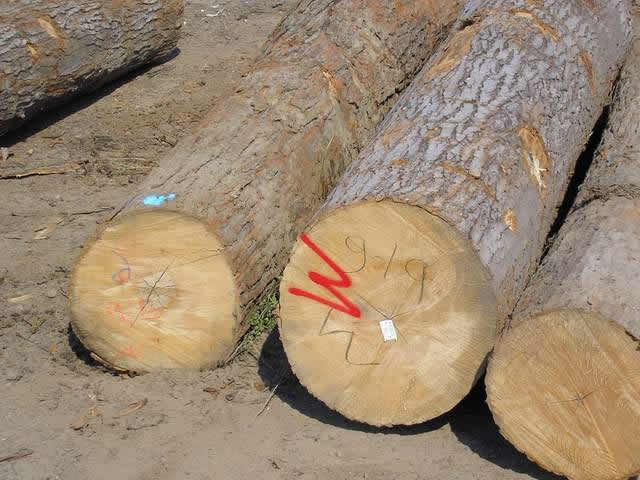 ����ԭľ--���ô��ľ��Ԕ��(x��)��B