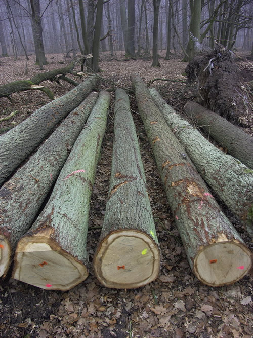 �W�ް����Ԕ����B