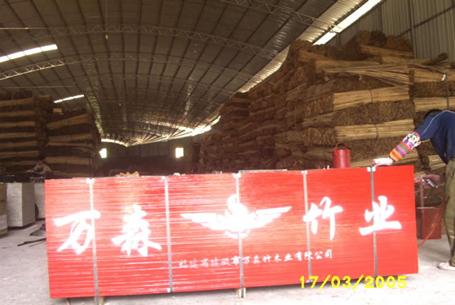 ���z���Ԕ��(x��)��B