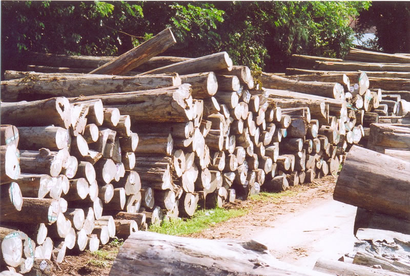 �����ϵȾ����߳���ľ��ԭľ����Ԕ����B