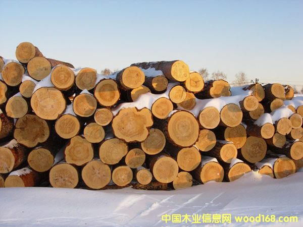 ���~�ɵ�Ԕ����B