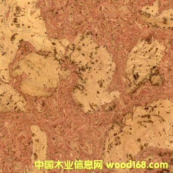 ܛľ�ذ���ӵ�Ԕ��(x��)��B