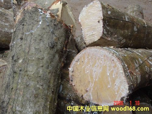 ̩�����zľ��Ԕ����B