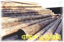 ����늗U��Ԕ����B