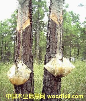 �ɘ�(sh��)��Ԕ��(x��)��B