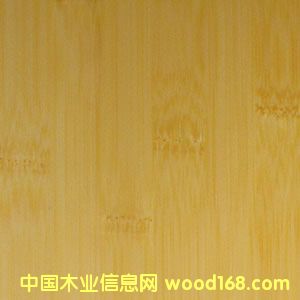 ��ذ��Ԕ����B