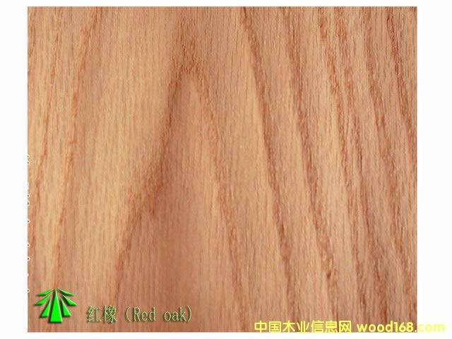 �t���Ԕ��(x��)��B