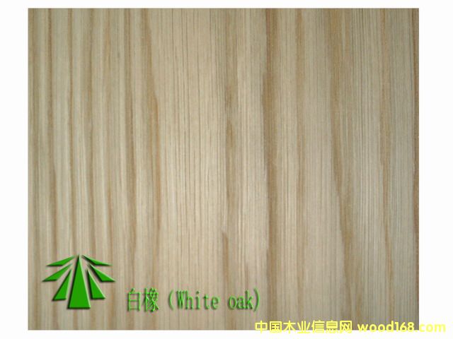 �����Ԕ��(x��)��B