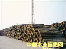 ���_˹���~�ɵ�Ԕ����B