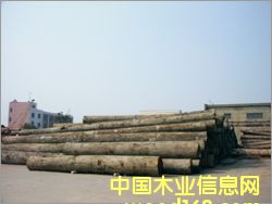 ӡ��������Ԕ����B