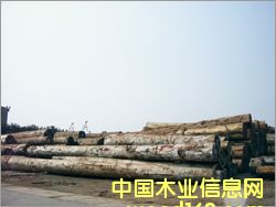 ������������Ԕ����B