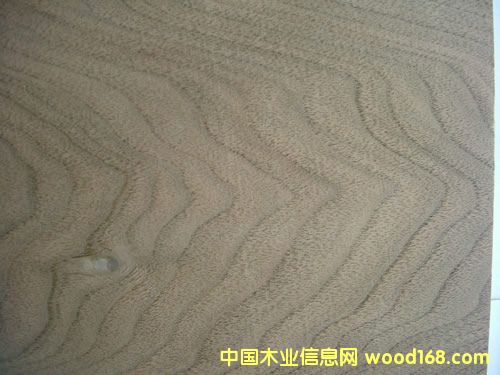 ���Ҙ�Ƥ��Ԕ��(x��)��B