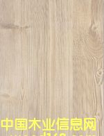 �� ̖ DK309��Ԕ����B