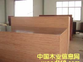 ���z���Ԕ��(x��)��B