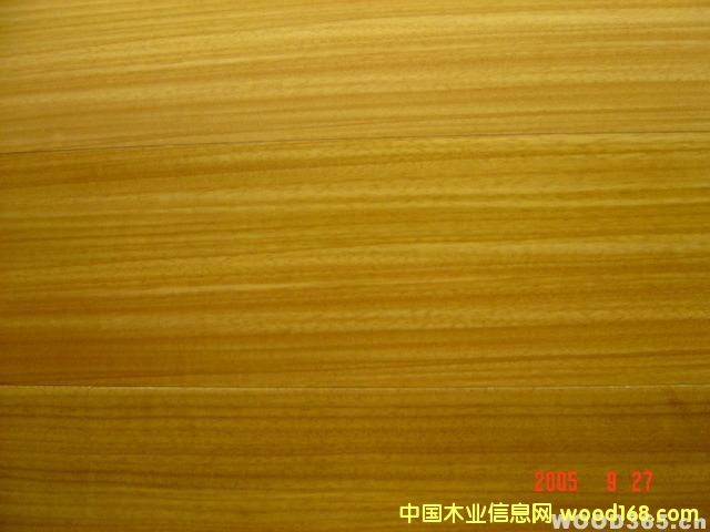 ��ľ����Ԕ��(x��)��B