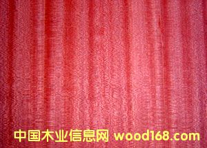 ��Ȼ�b��N����Ԕ����B