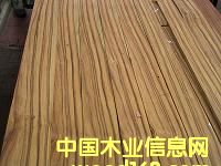 ����(d��ng)Ƥ��