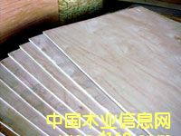 �h(hu��n)���ͼ���ľ�C�ƃ�(y��u)�����ɰ��Ԕ����B