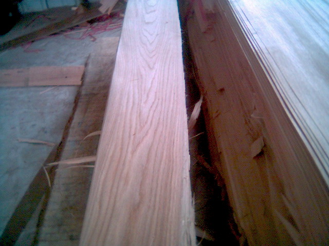 ľƤ��Ԕ��(x��)��B