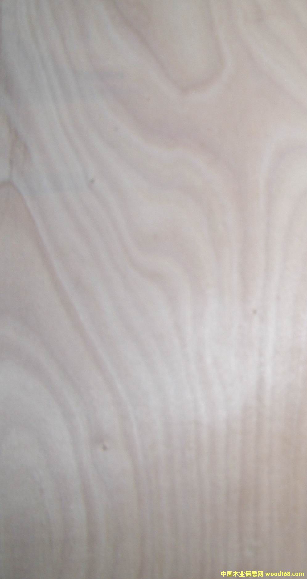 �һ�о3��A���Ԕ��(x��)��B