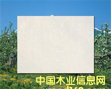 ͩľƴ���Ԕ��(x��)��B