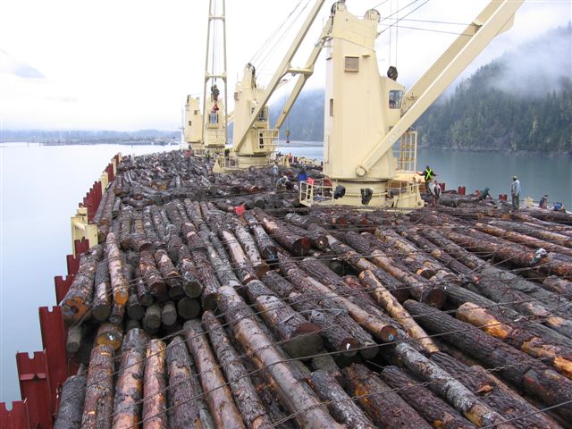 �Fɼ��Ԕ����B