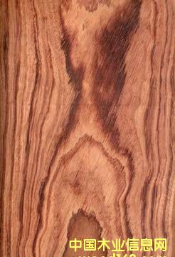 �ϼtľ(�b�����Ƭ��