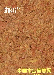 ������ܛľճ�N�ذ��Ԕ��(x��)��B