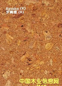 ������ܛľճ�N�ذ��Ԕ��(x��)��B